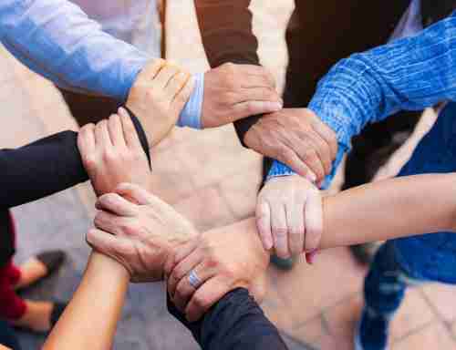 成为森林舞会的一份子