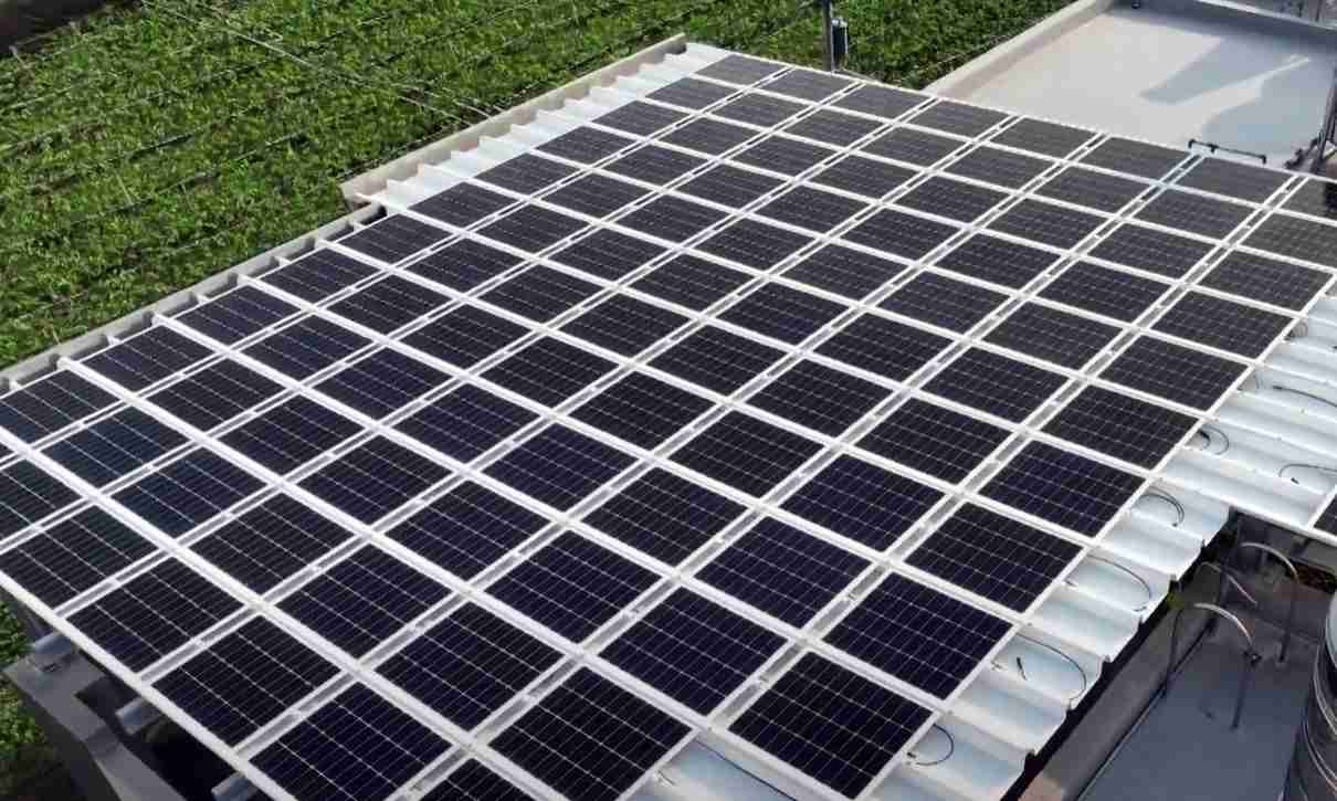 森林舞会SunSteel光电浪板升级双玻结构，，，，以提升机械负载强度及气候耐候度，，，可广泛运用于多元场域